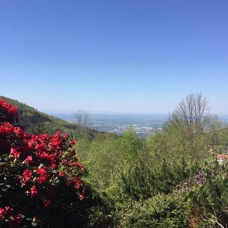 사스바흐발덴 View From The Rock 아파트 외부 사진